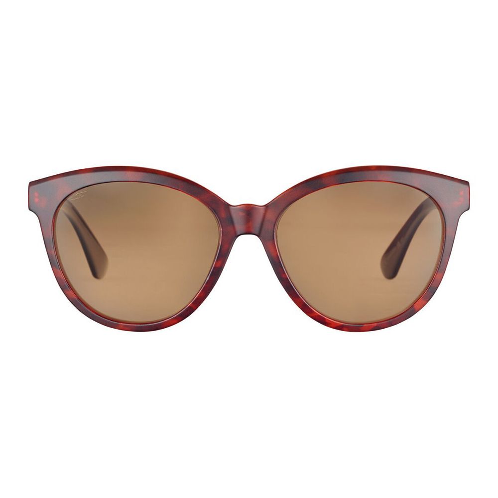 Brown Resin Sunglasses