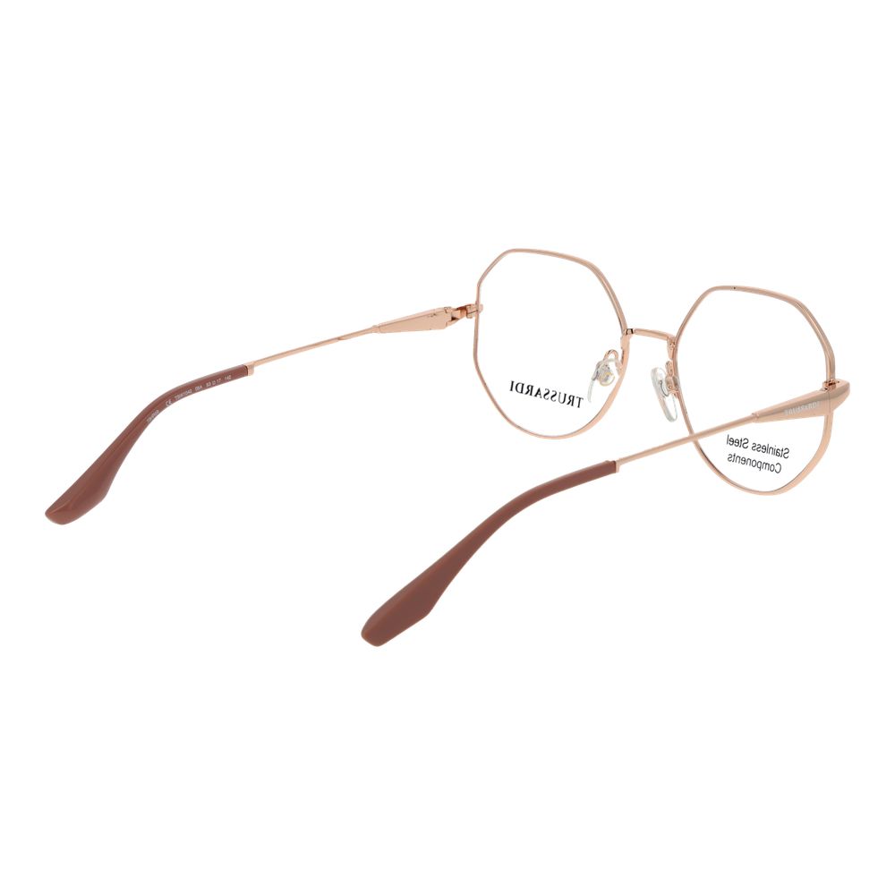Rose Gold Stainless Steel Glasses (Frames)