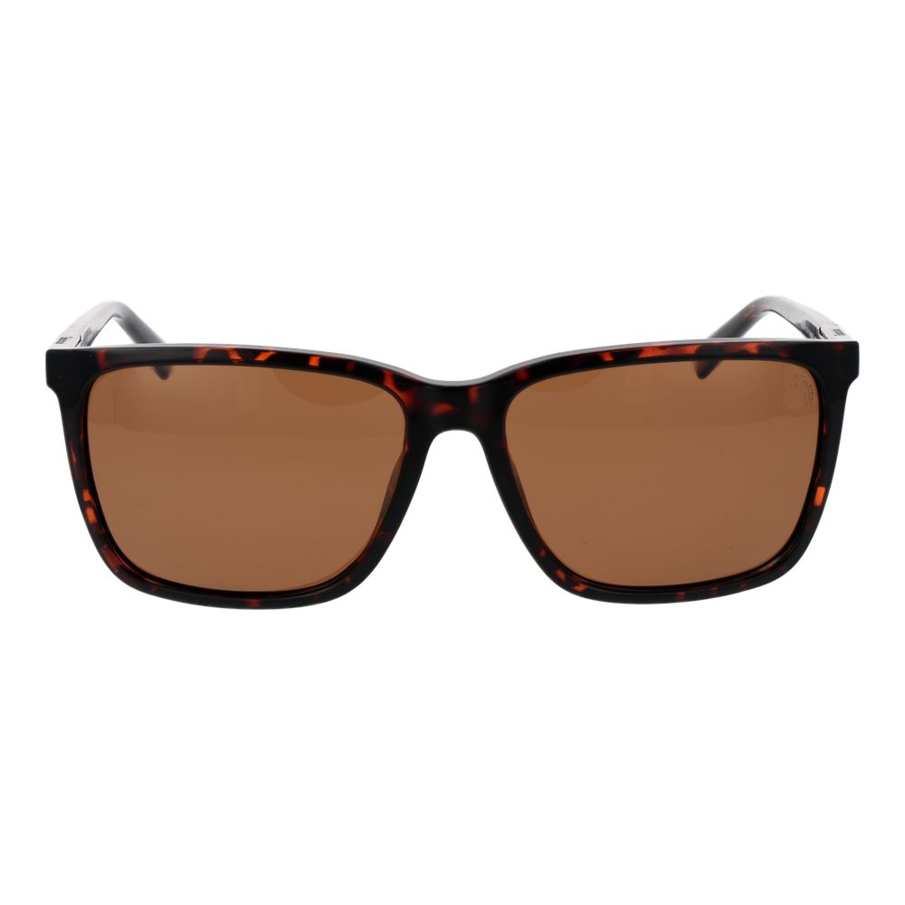 Brown Plastic Sunglasses