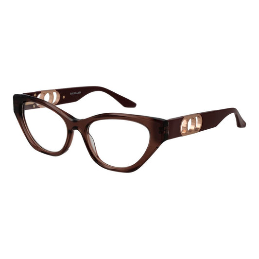 Brown Acetate Glasses (Frames)