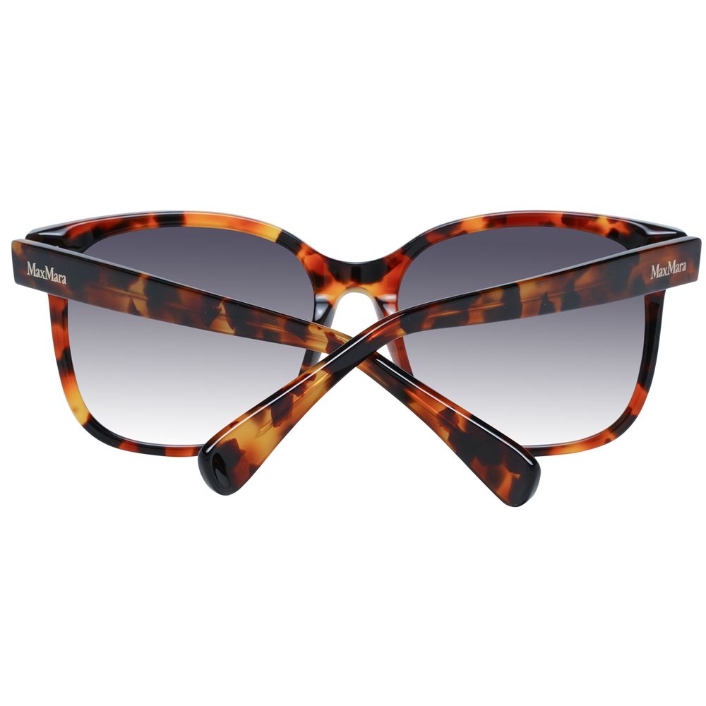 Brown Acetate Sunglasses