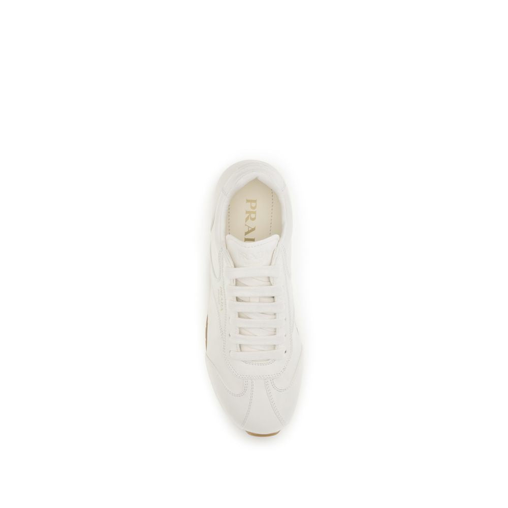 Beige Lamb Ovis Aries Aries Low Top Sneakers