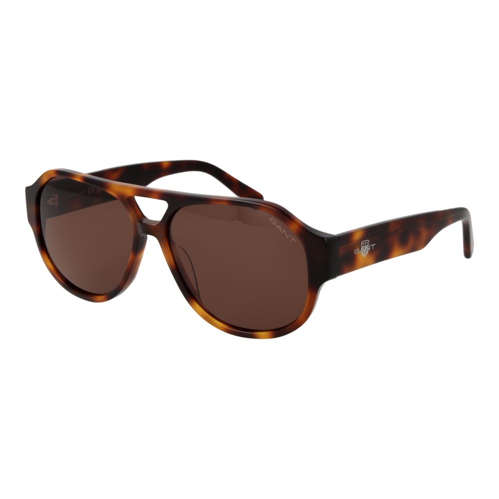Brown Acetate Sunglasses