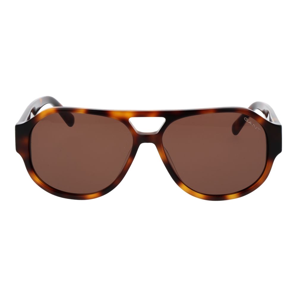 Brown Acetate Sunglasses