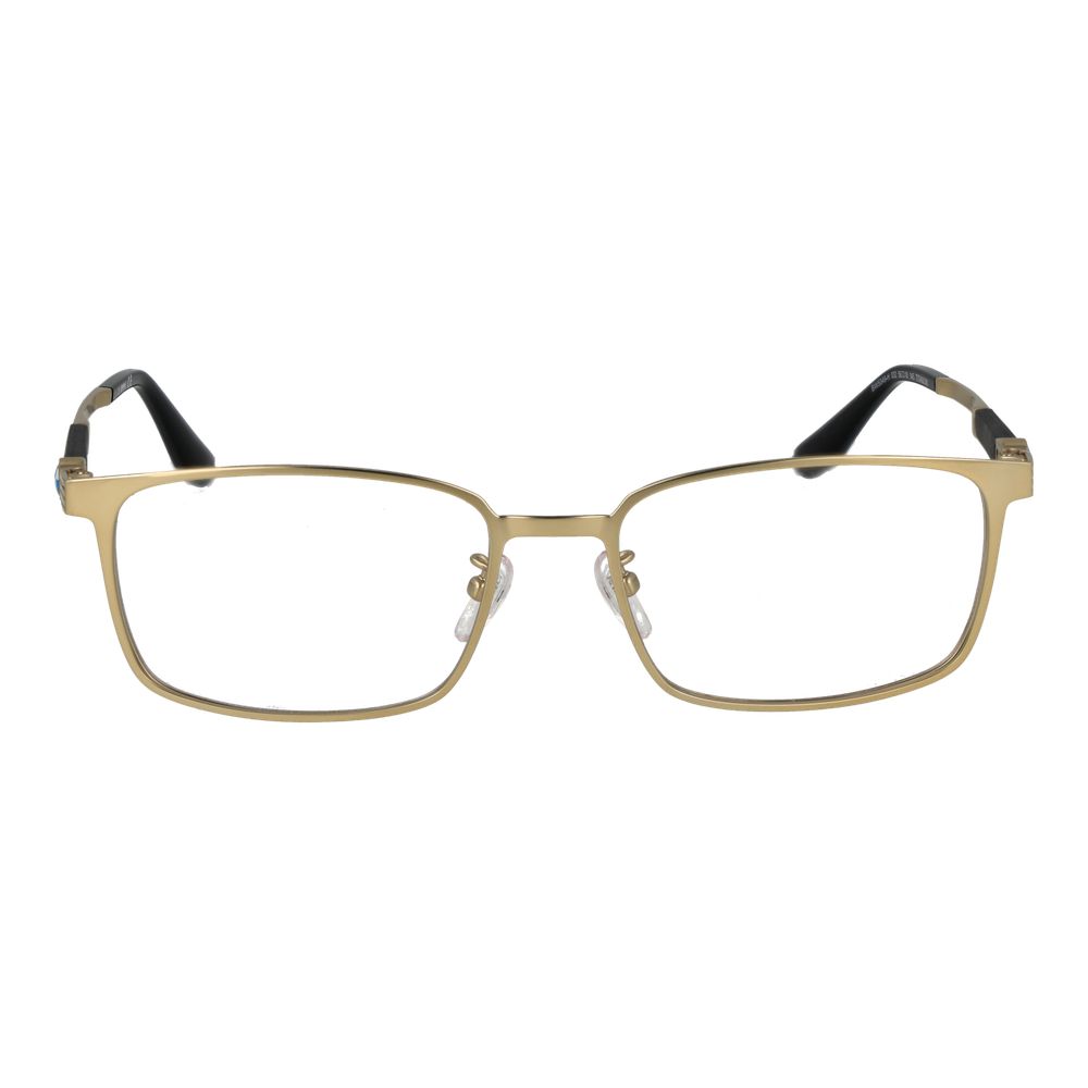Gold Titanium Glasses (Frames)