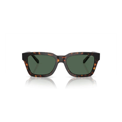 Brown Injected Sunglasses