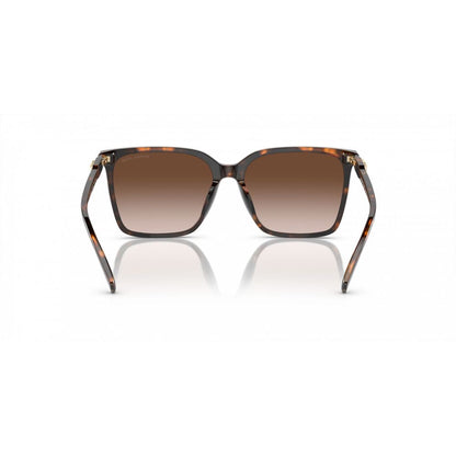Brown Acetate Sunglasses