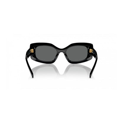 Black Acetate Sunglasses