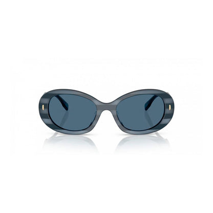 Blue Acetate Sunglasses