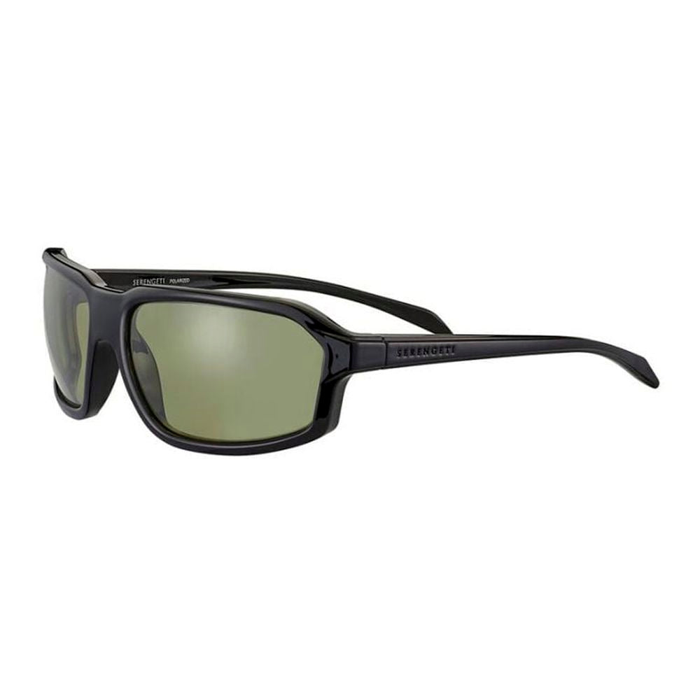Black Resin Sunglasses