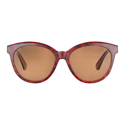 Brown Resin Sunglasses