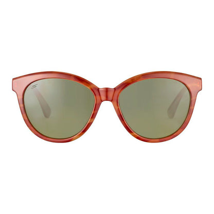 Brown Resin Sunglasses