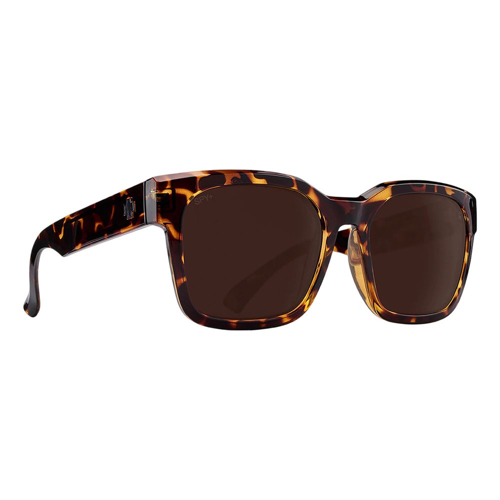 Brown Resin Sunglasses