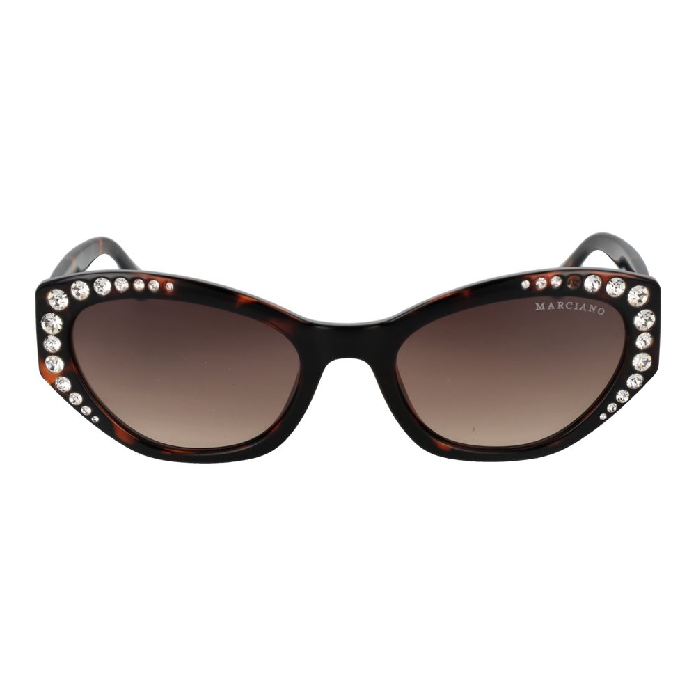 Brown Plastic Sunglasses