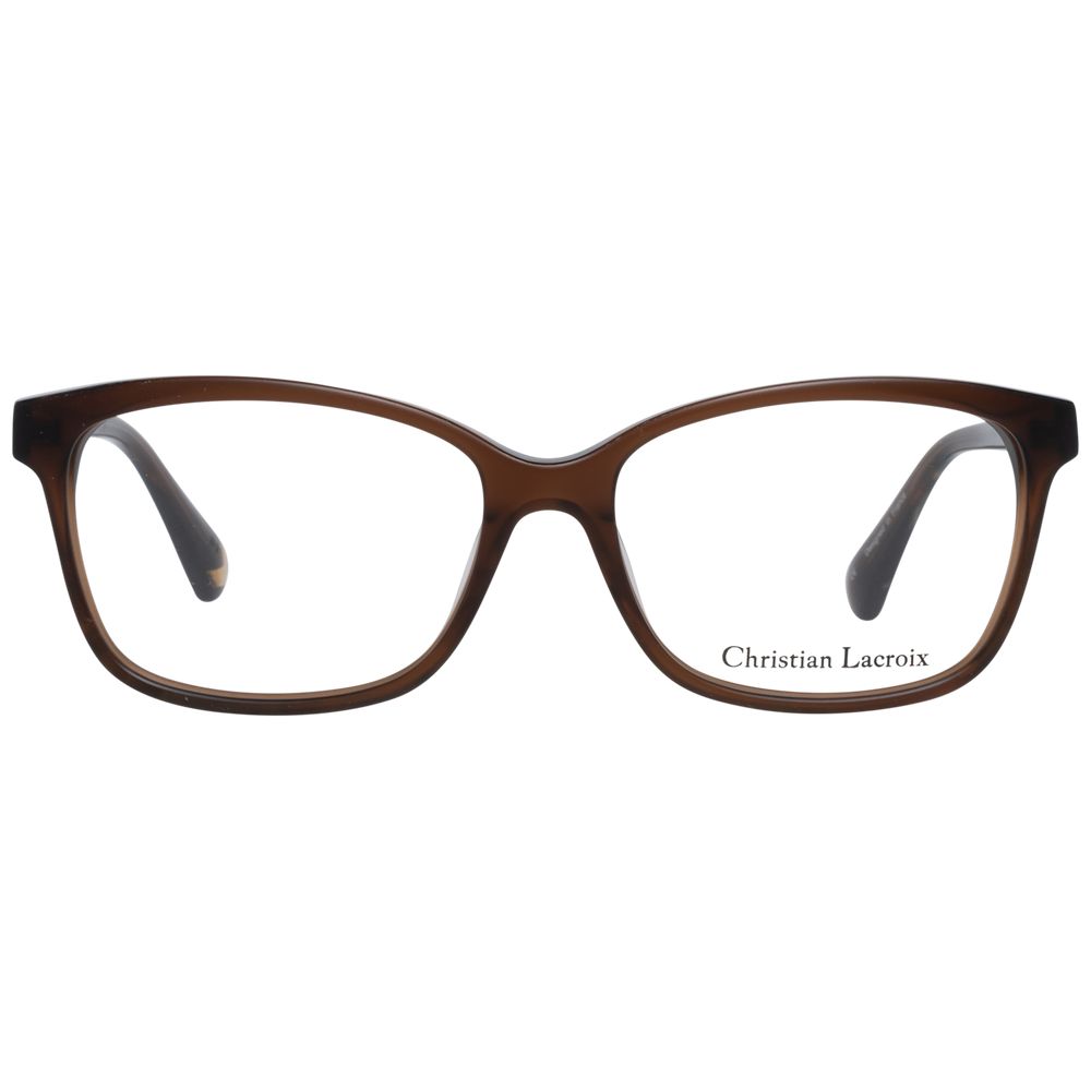 Brown Plastic Glasses (Frames)