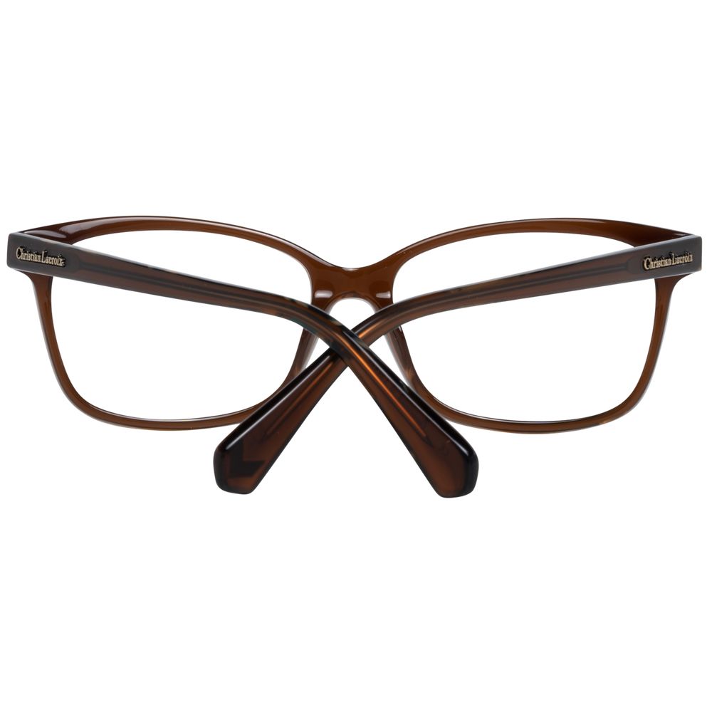 Brown Plastic Glasses (Frames)