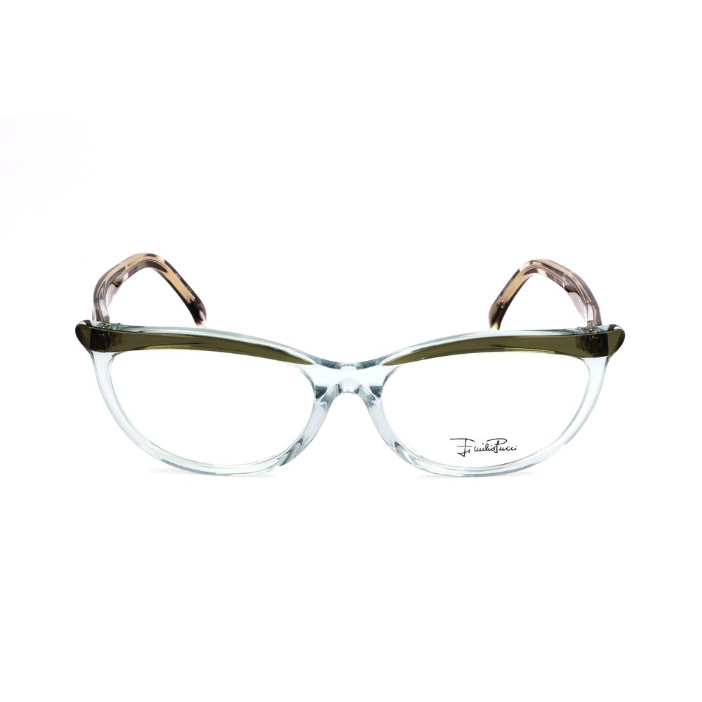 Green Plastic Glasses (Frames)