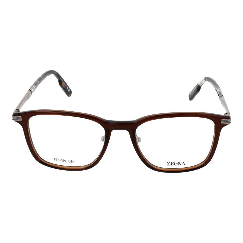 Brown Plastic & Titanium Glasses (Frames)
