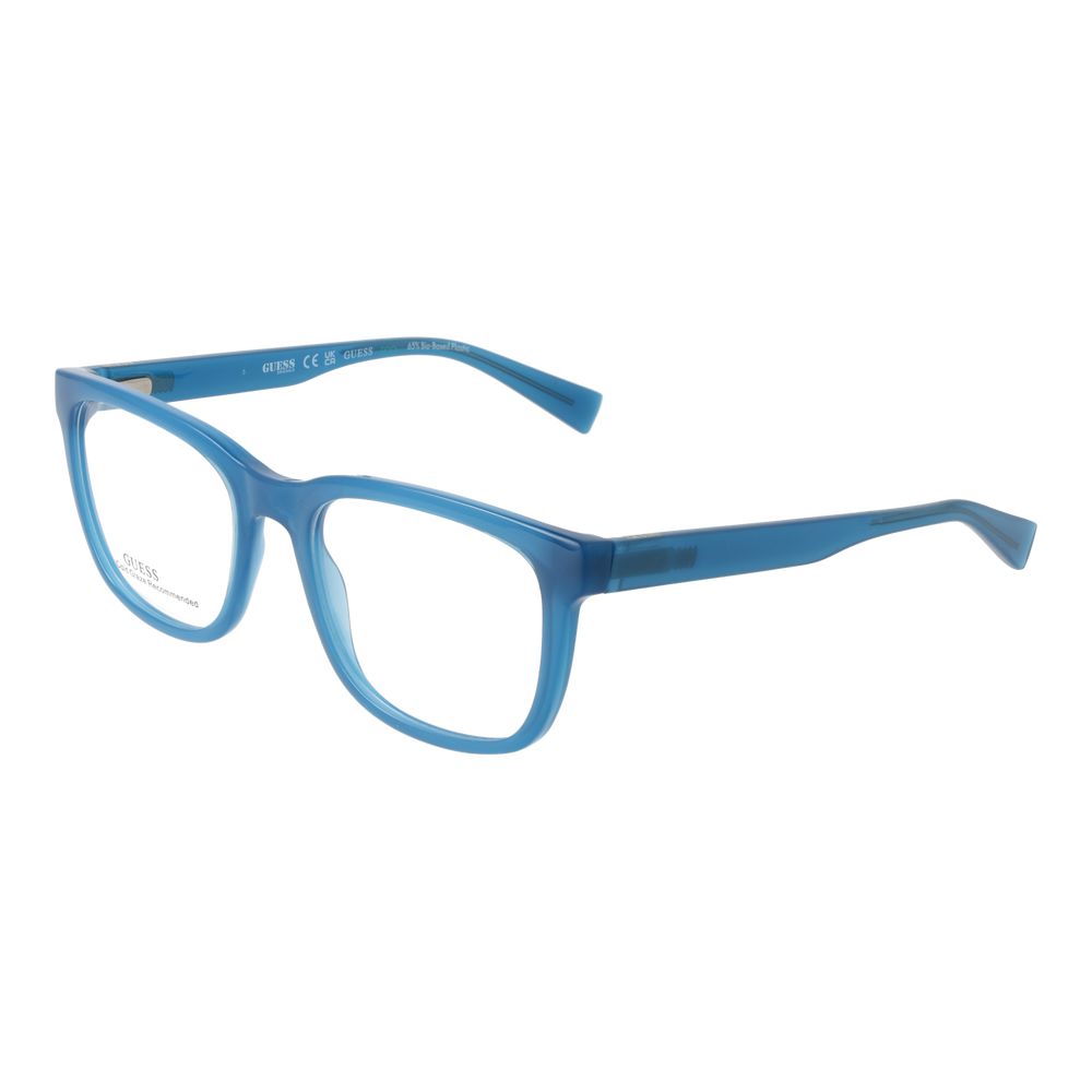 Blue Plastic Glasses (Frames)