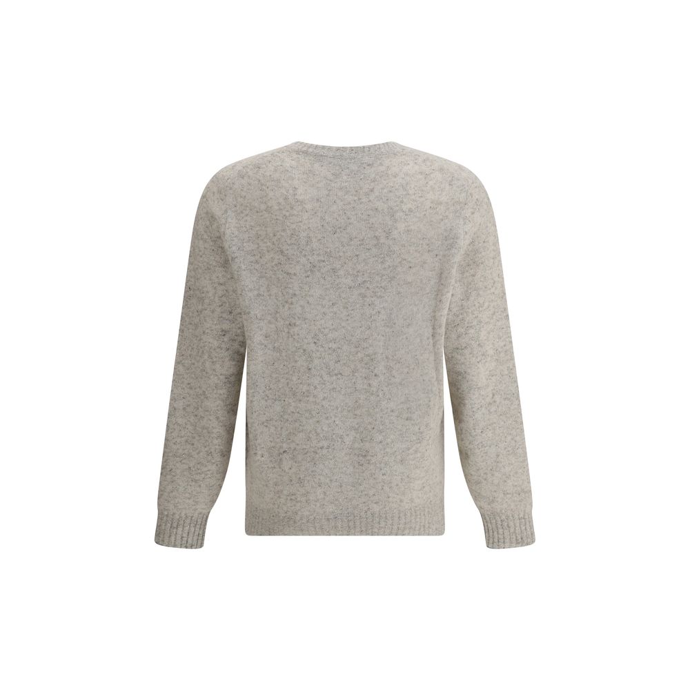 Gray Alpaca Vicugna Pacos Sweatshirt