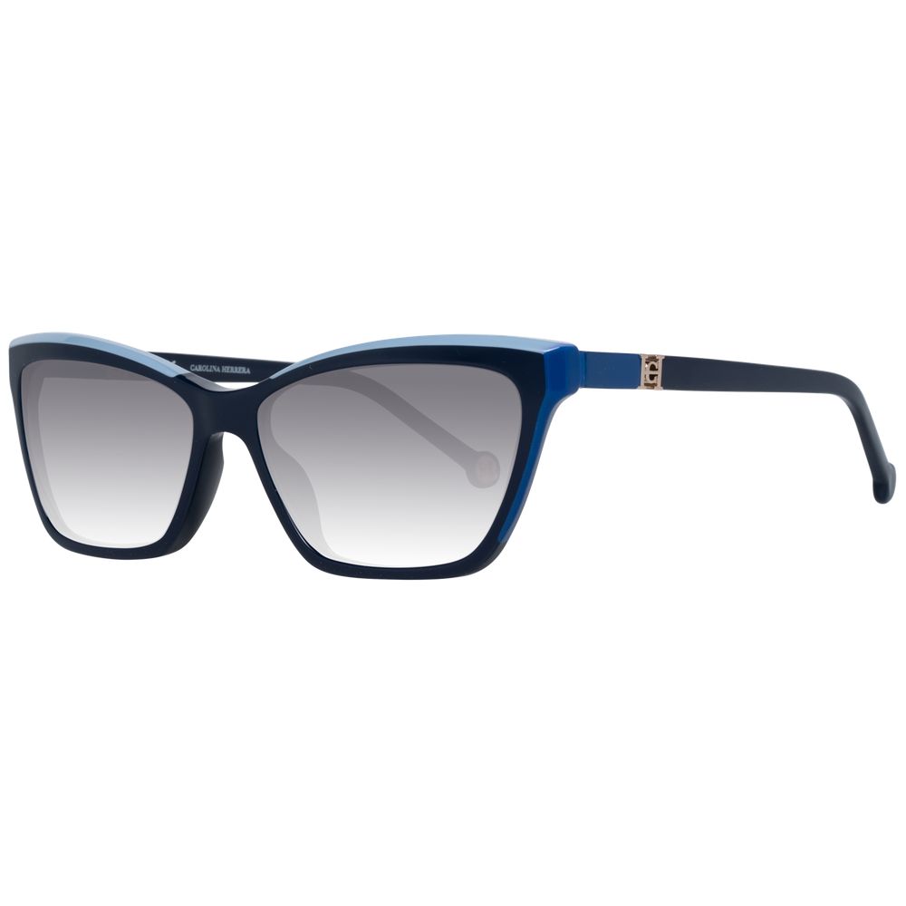 Blue Plastic Sunglasses