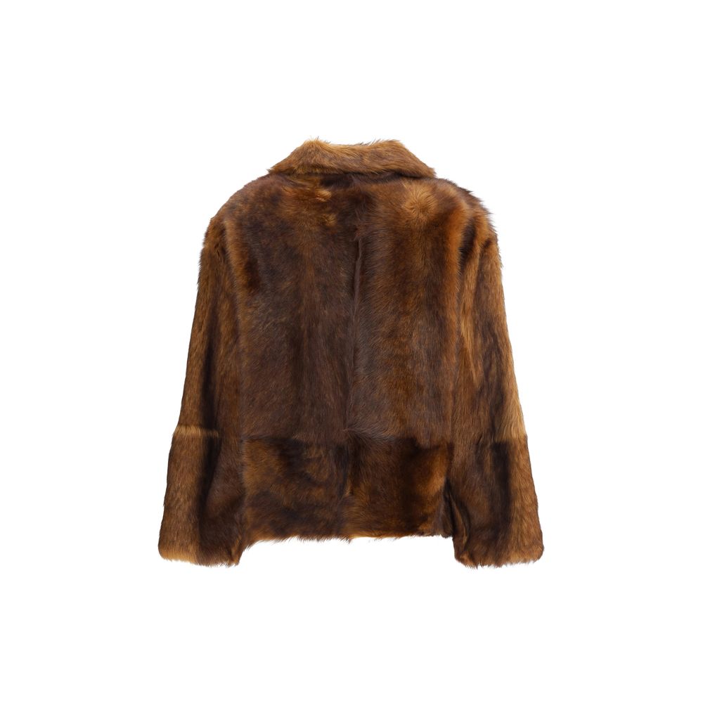 Brown Lamb Ovis Aries Aries Coat