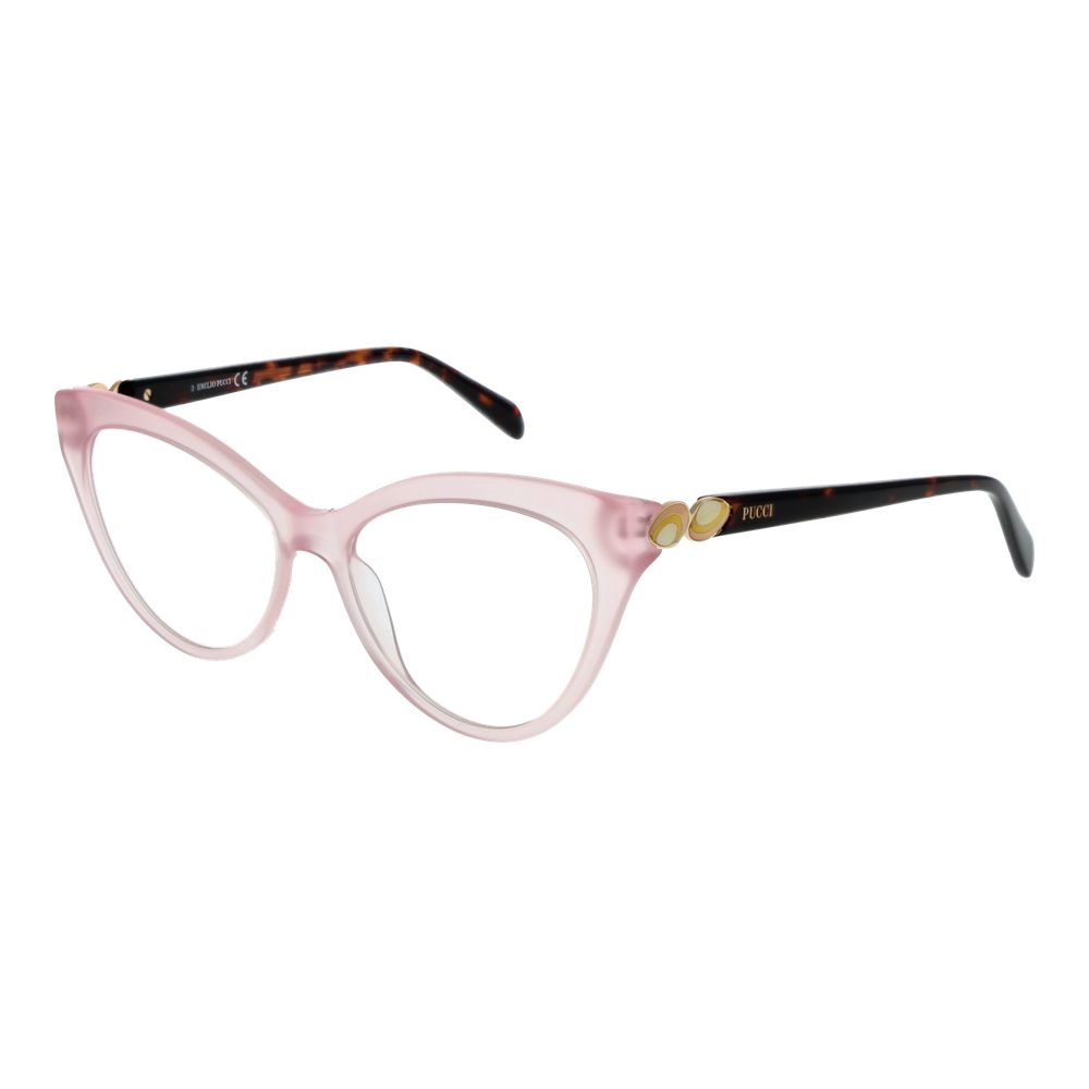Pink Plastic Glasses (Frames)