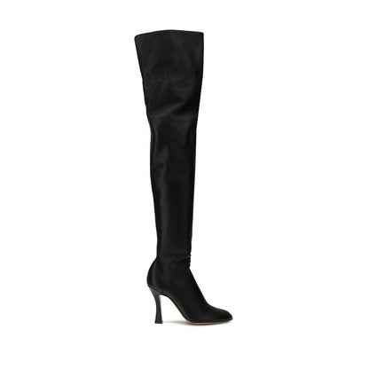 Black Lamb Ovis Aries Aries Over The Knee