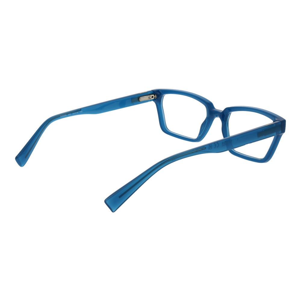 Blue Plastic Glasses (Frames)