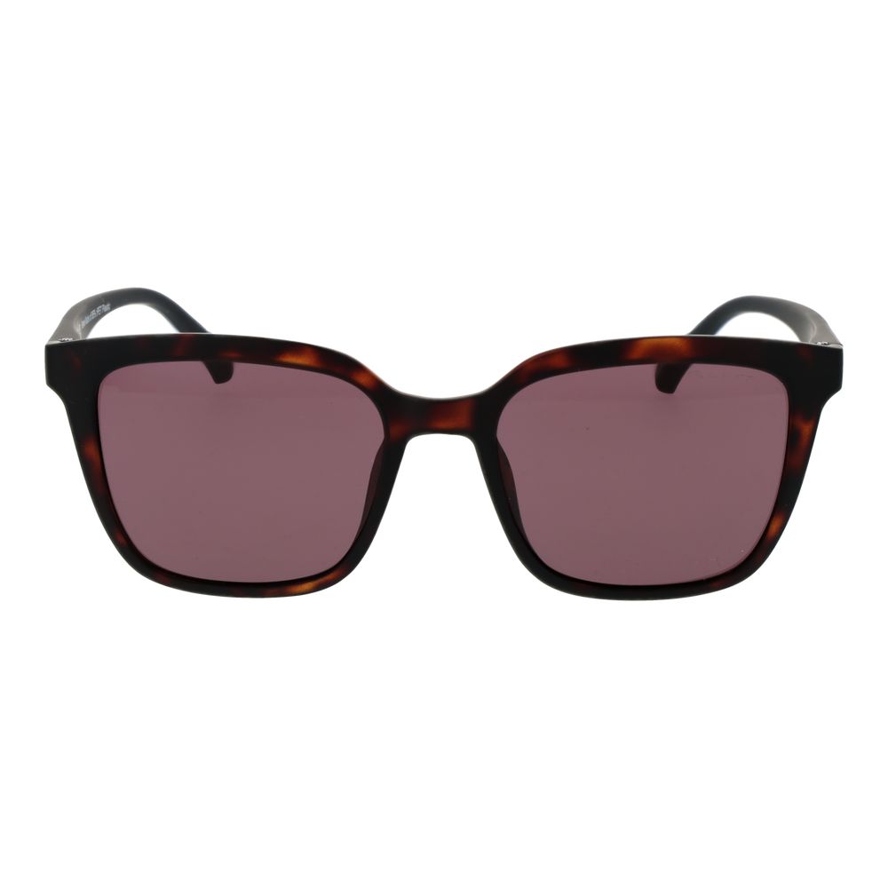 Brown Stainless Steel Sunglasses