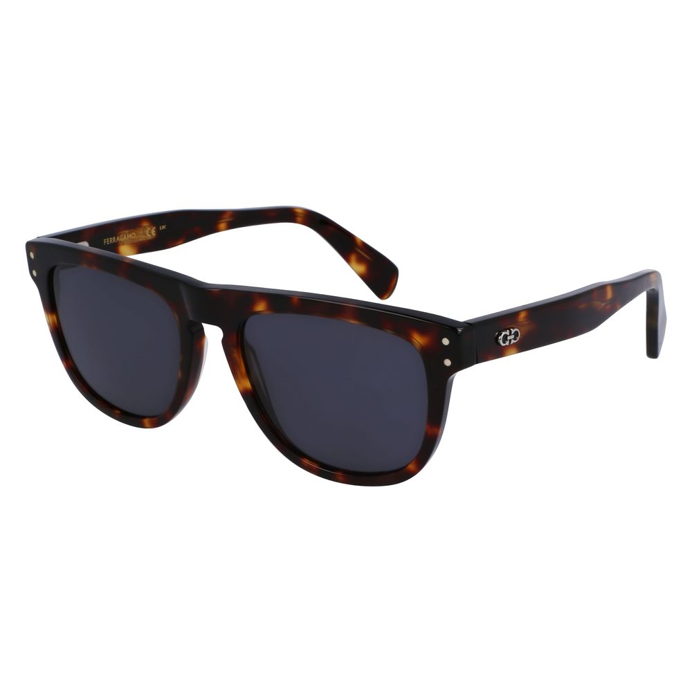 Brown Acetate Sunglasses