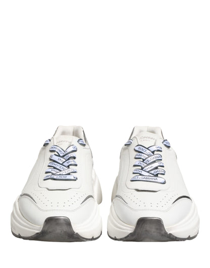 White Silver Daymaster Low Top Sneakers Shoes